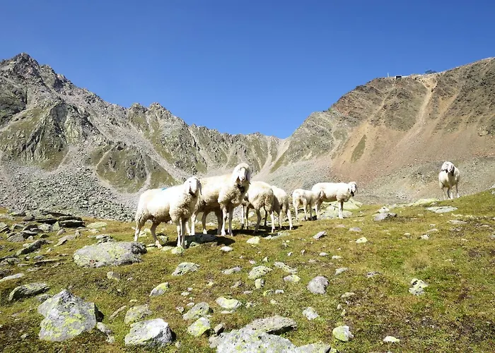 The Peak By Interhome *