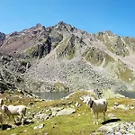 The Peak By Interhome Nyaraló